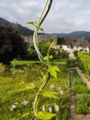 Monkey Factory - Mini Home-Stay Hostel Traben-Trarbach